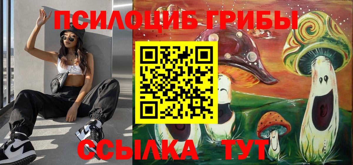 Псилоцибиновые грибы GOLDEN TEACHER Усть-Лабинск